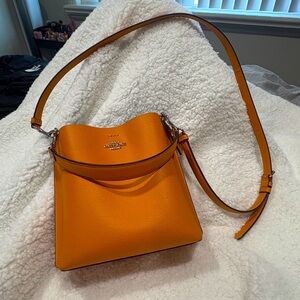 Coach small town Bucket bag